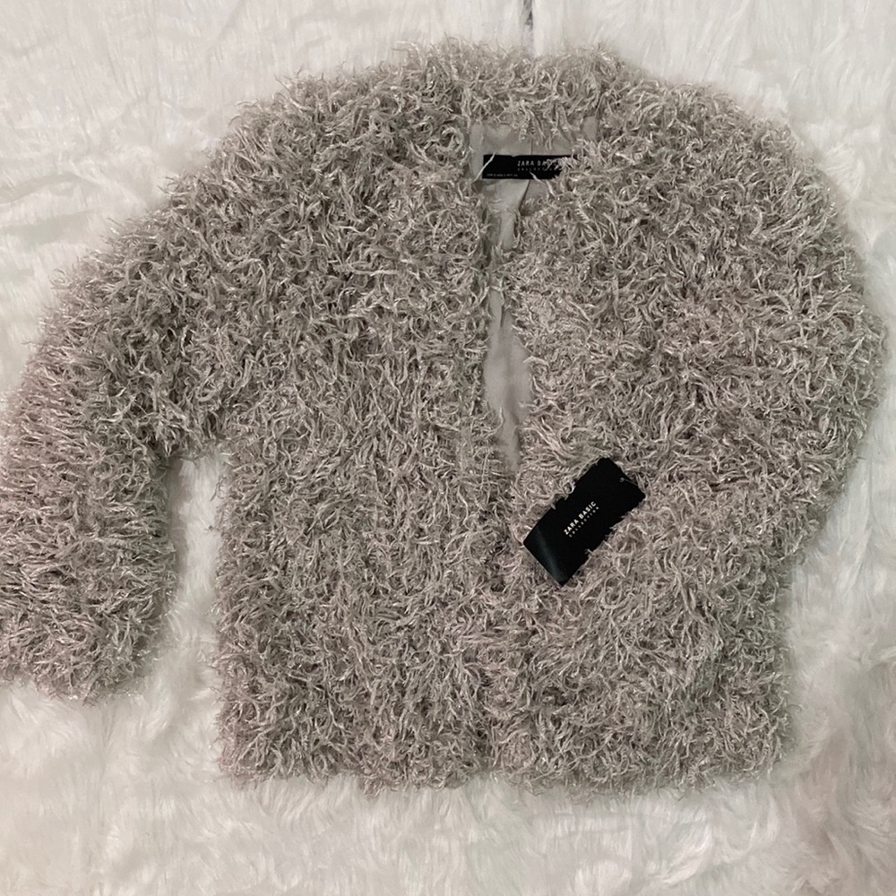 ZARA Basic Collection Silver Feather Blazer